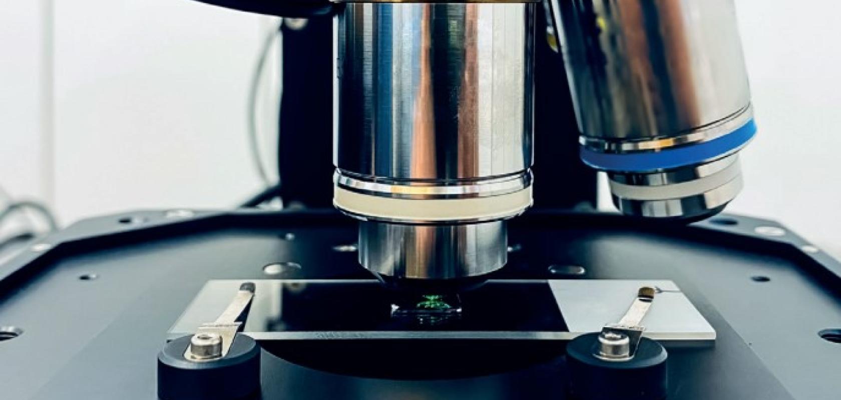 Optical filters Unlocking the potential of Raman spectroscopy